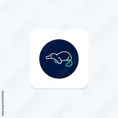 Platypus, vector, pixel perfect, illustrator file