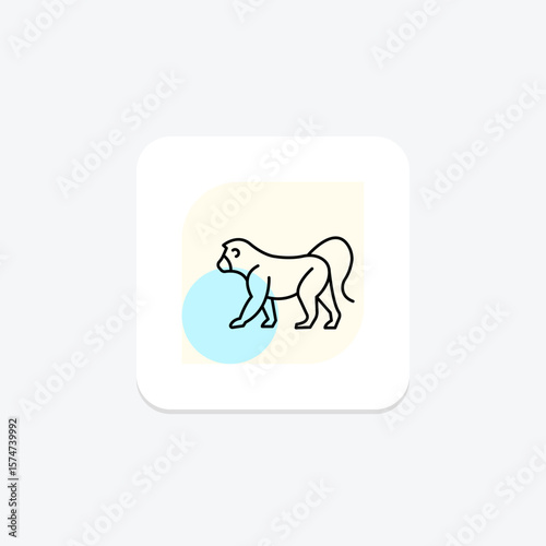 Baboon, vector, pixel perfect, illustrator file