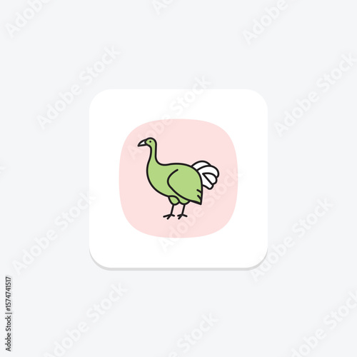 Brush Turkey, vector, pixel perfect, illustrator file