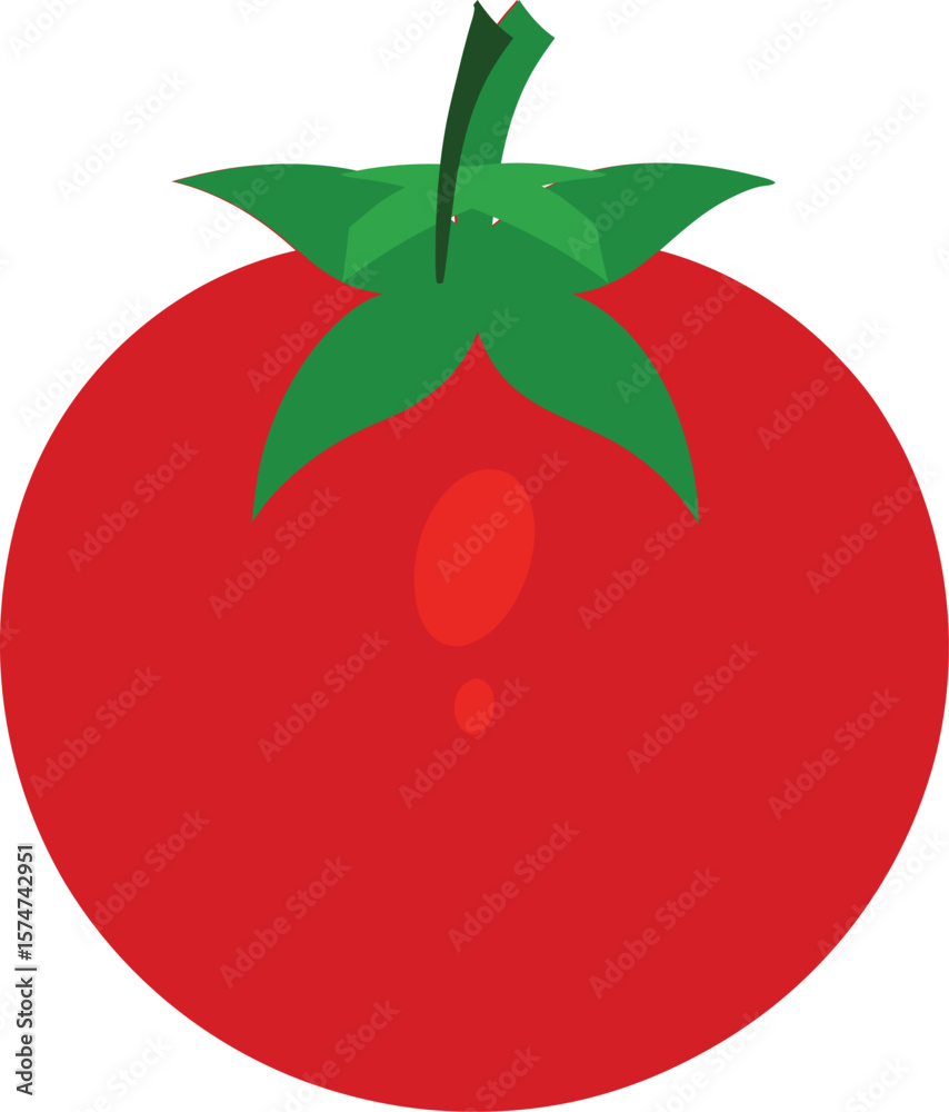 Tomato vector Tomato vector
