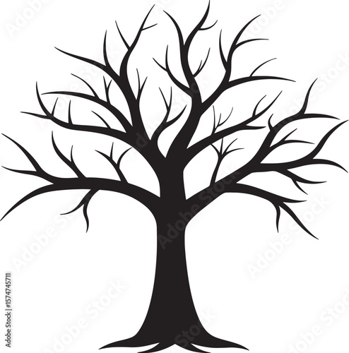 Bare deciduous tree silhouette isolated on white background