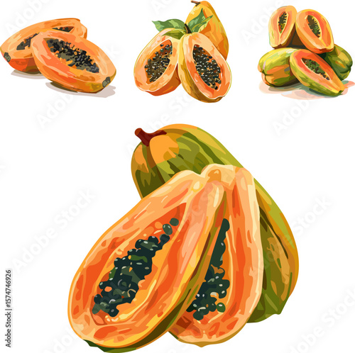 set of papaya fruit isolated on white in color style, no background