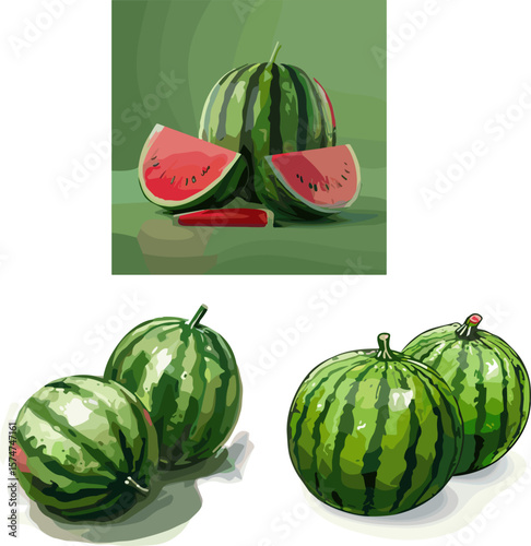 set of fresh watermelon in color style, isolated on green background