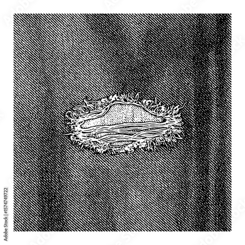 Abstract distressed ripped denim grunge texture pattern background Black and White Outline Line Art Drawing