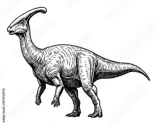 Detailed Parasaurolophus Full Body Shot Black and White Outline Line Art Drawing Vintage Illustration
