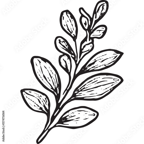 Hand-Drawn Leaf Branch Icon - Botanical Nature Illustration for Home Decor