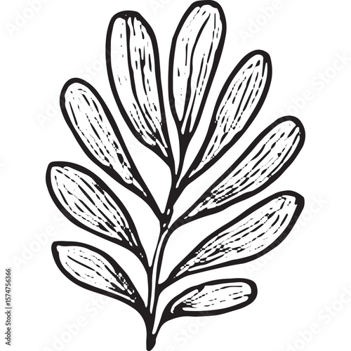 Hand-Drawn Leaf Branch Icon - Botanical Nature Illustration for Home Decor