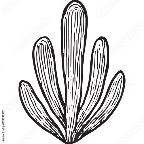 Hand-Drawn Cactus Icon - Desert Succulent Illustration for Nature Decor