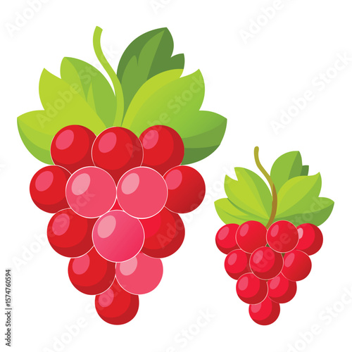 bunch of red grapes