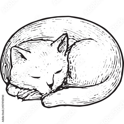 Hand-Drawn Sleeping Cat Icon - Cozy Pet Illustration for Home Decor
