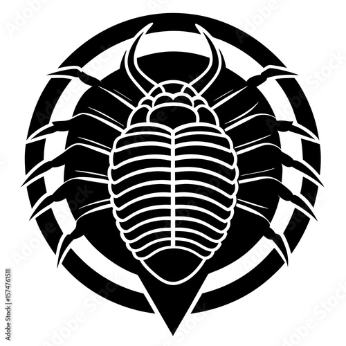 shield bug vector illustration