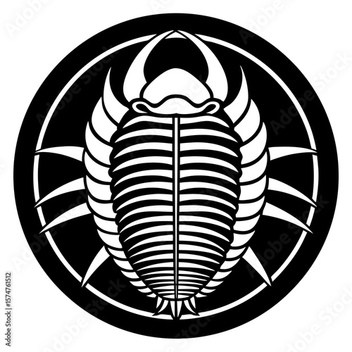 vector black silhouette of a beetle