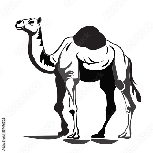Camel vector art design
