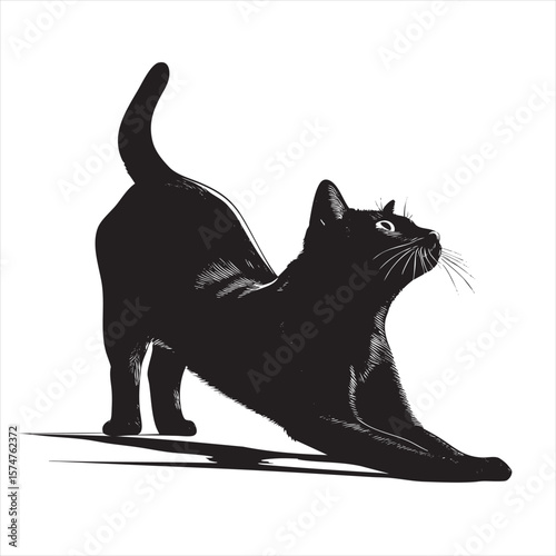Dynamic Black Cat Stretching Pose Silhouette