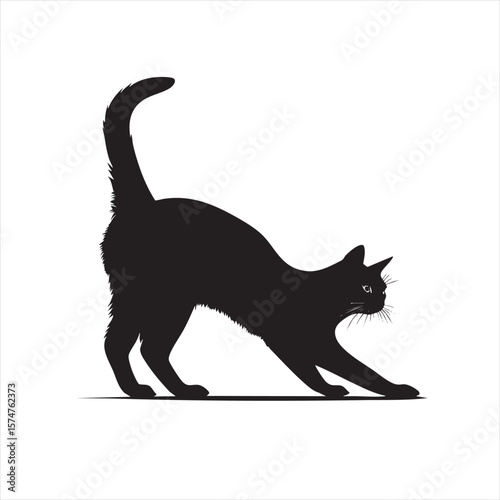 Playful Black Cat Arching Back Silhouette