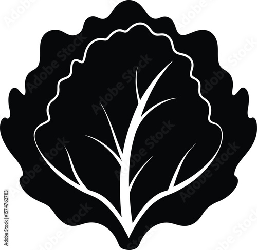 Bok Choy in Focus Silhouette