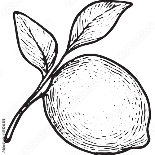 Hand-Drawn Lemon Icon - Cozy Kitchen Fruit Illustration for Decor