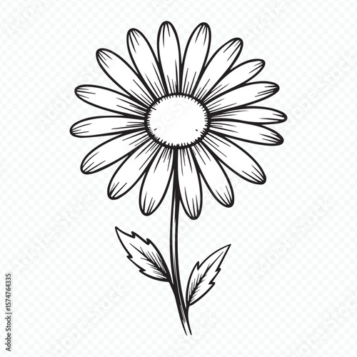 black and white daisy flower line art vector perfect for wedding invitations, logos, stationery and spring themes
