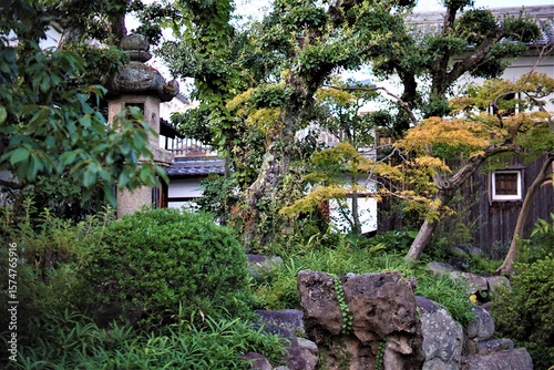 日本、大阪府、庭園、旧杉山家住宅、木造建築、富田林市、日本文化、歷史名勝、綠色、風景、青空、秋、写真素材	