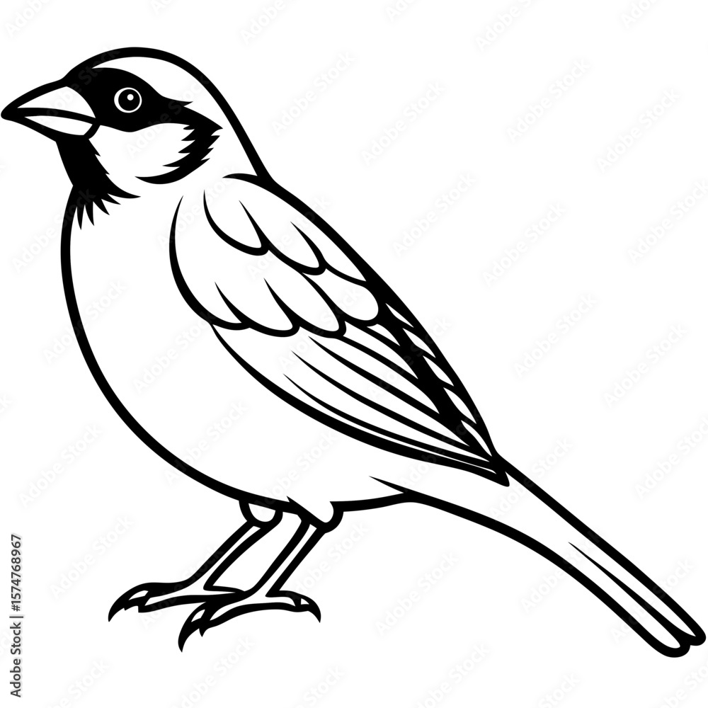 Fototapeta premium Majestic Sparrow Silhouette