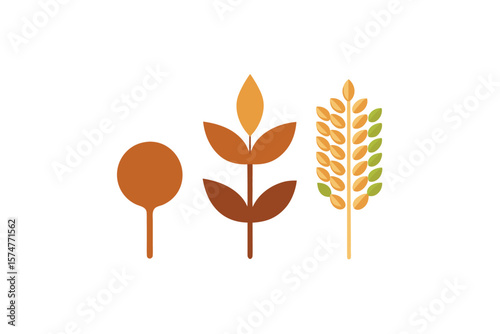 Icon Set Of Quinoa Chia And Flax In Organic Style