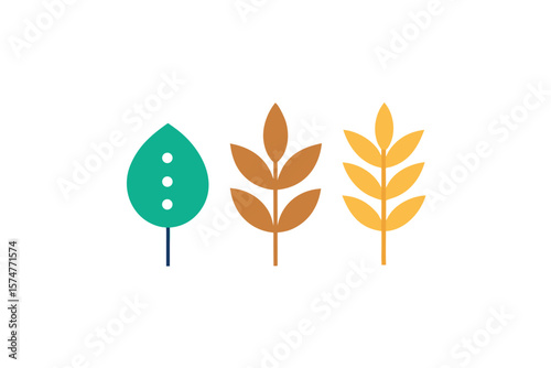 Icon Set Of Quinoa Chia And Flax In Organic Style