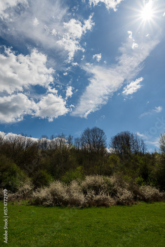 Amazing green meadow in the mountains. Meadow covered with blue sky filled with white fluffy clouds. Spring nature photography.