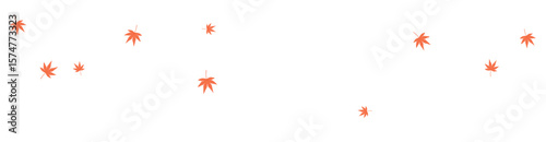 Falling red autumn leaves of maple, Japanese maple, momiji, isolated on transparent background. Hand drawn flat vector illustration. Seasonal symbol, backdrop, overlay, design element