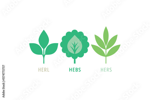 Flat Vector Herb Icons With Labels In Organic Style