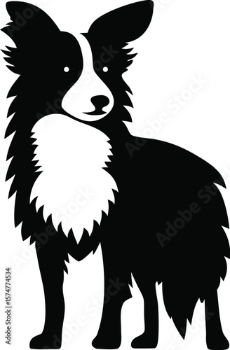 Border Collie silhouette with fluffy coat, pointed ears, and alert stance for herding dog icon