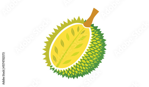 Half durian fruit vector illustration graphic