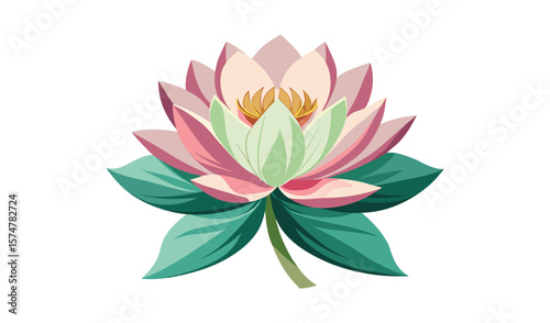 Elegant pink and green lotus flower illustration