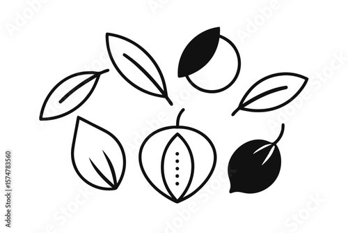 Monochrome Outline Leaves And Filled Fruit Icons