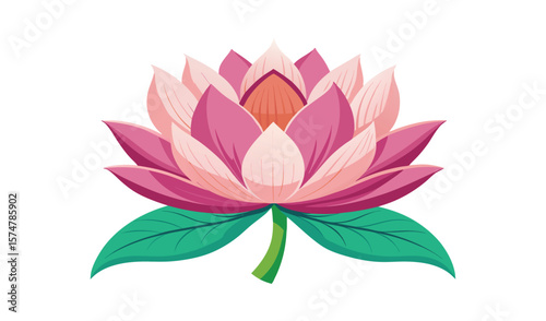 Pink lotus flower with green leaves illustration