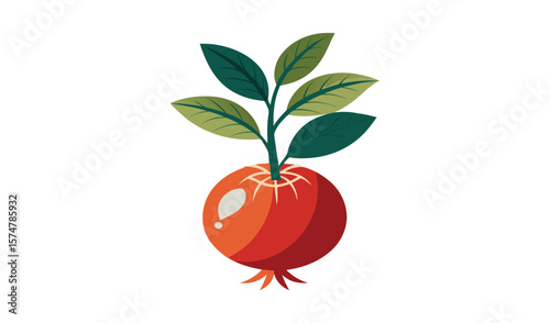 Single red beetroot with green leaves illustration