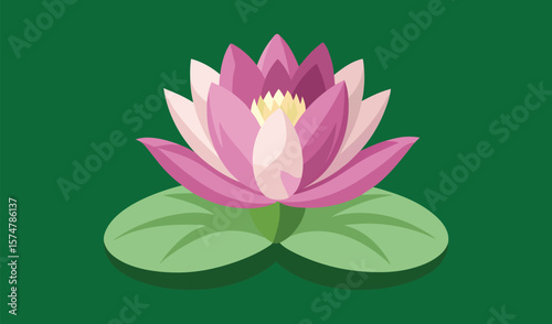 Pink water lily flower on green background