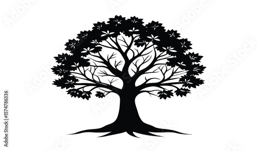 Black silhouette of a large deciduous tree