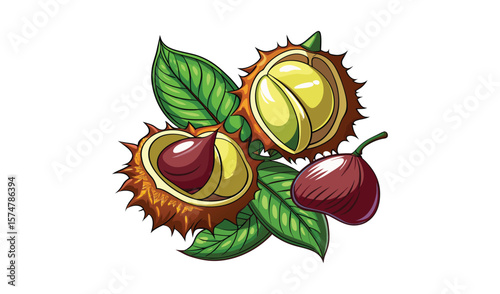 Fresh horse chestnuts with leaves illustration