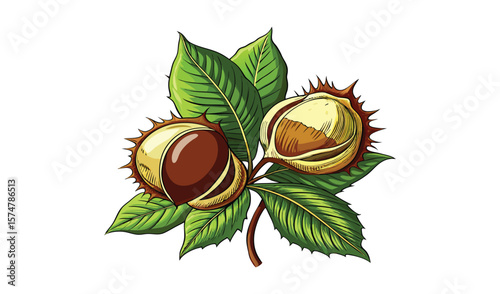 Hand drawn illustration of chestnuts with leaves