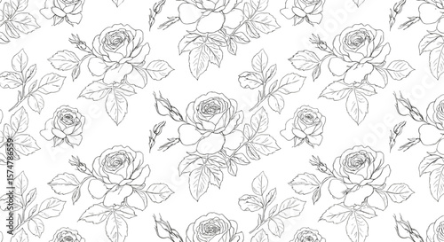 Floral pattern of hand-drawn roses on white background  