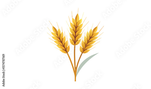 Three stalks of golden wheat isolated on white