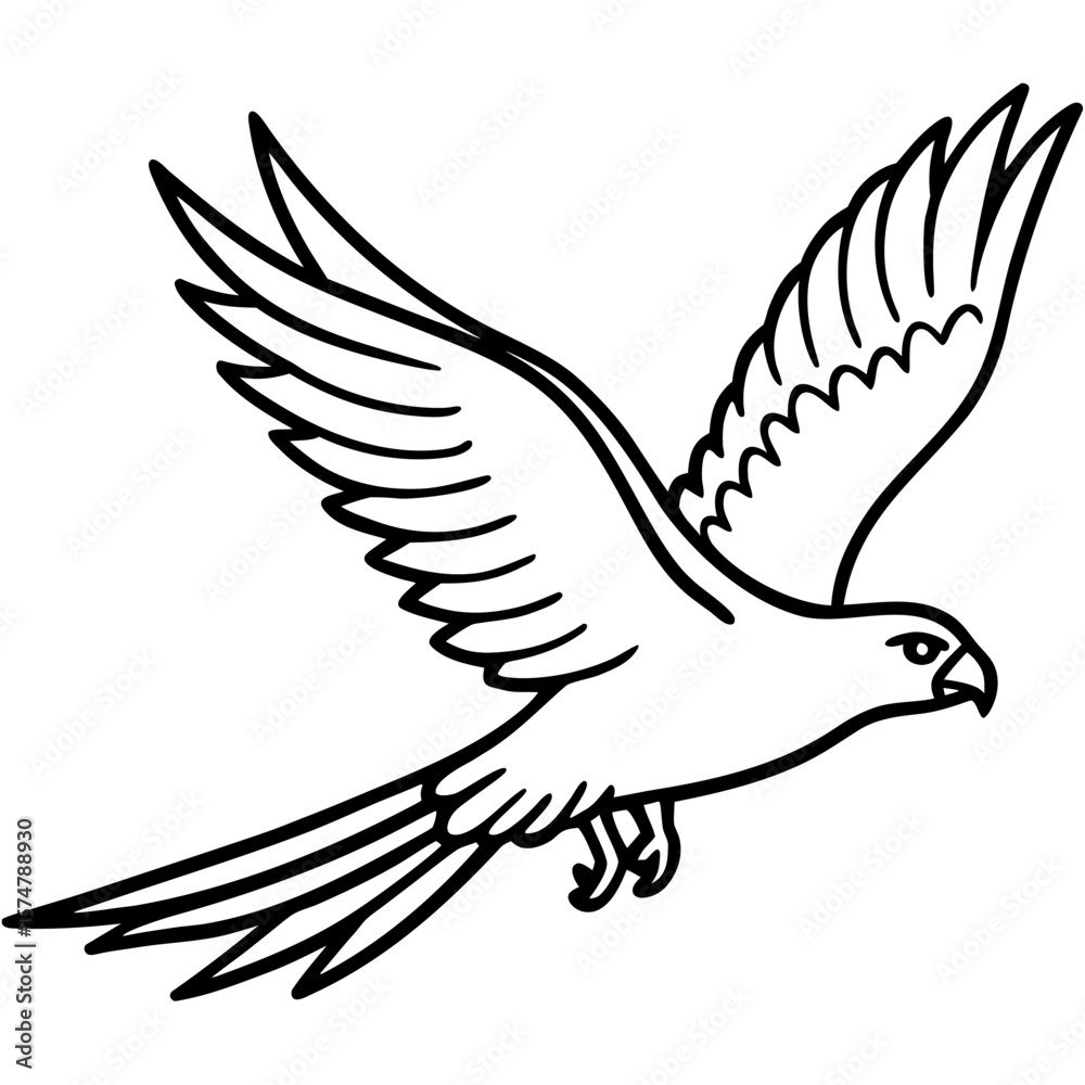 Obraz premium Gliding Hawk Silhouette Vector