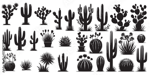 set of silhouette vector illustration cacti, agaves, a Joshua tree, and prickly pears on white background