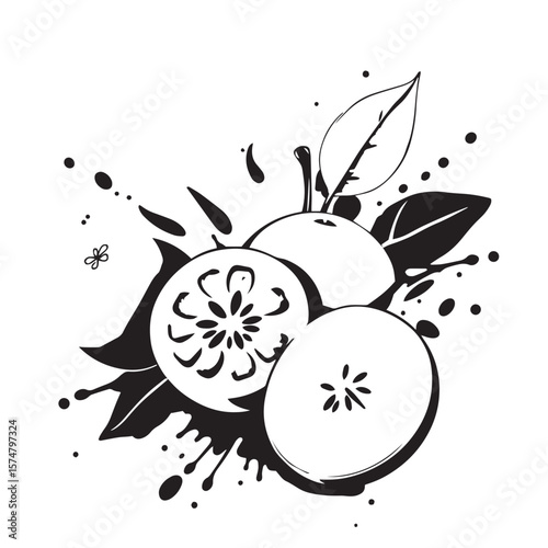 Artistic fruit splash composition vector design concept black and white illustration.