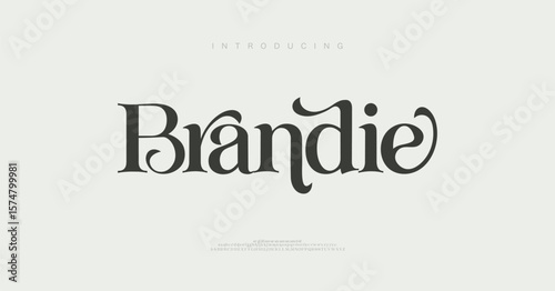 Elegant Logo Font Uppercase Lowercase And Number. Typography luxury classic lettering serif font decorative wedding vintage retro logos, design for fashion, beauty shop and brand. vector illustration
