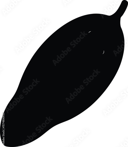 vector illustration of a black and white radish