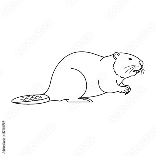 Deepest Beaver Resilience Capacity - Beaver vector - Beaver Line art - Beaver Drawing - Vector Lineart of Beaver - Beaver icon - its enduring hardy unchanging soul

