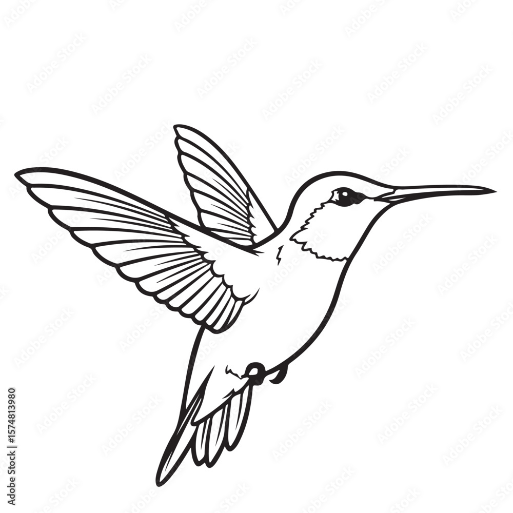 Obraz premium Hummingbird illustration in black and white, a simple and elegant vector graphic