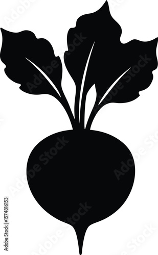 Vector design fresh kohlrabi silhouette for modern