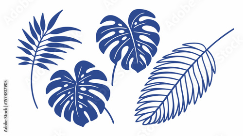 Tropical palm leaves.Set of black handdrawn silhouettes isolated on white background.Perfect for cards, web, backgrounds and natural product.Raster version.Clipart

